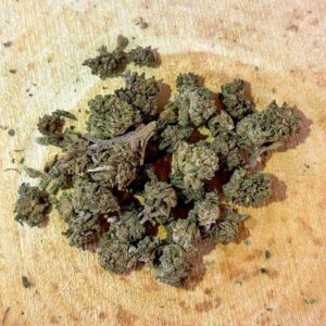 fleur-cbd-small-bud